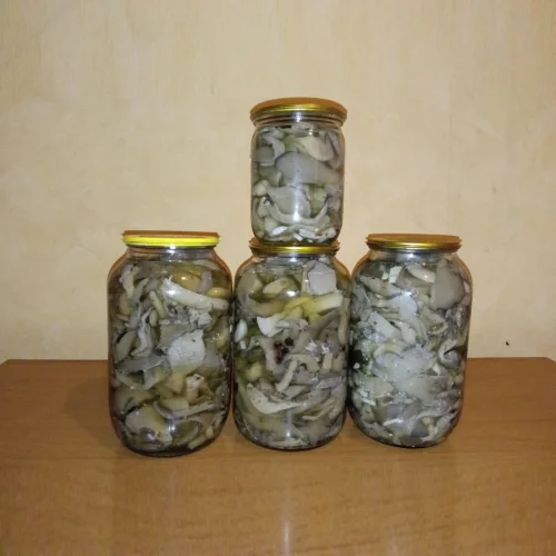 Pickled mushrooms and oyster mushrooms wholesale