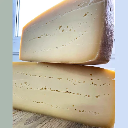 Montazio cheese