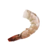Shrimp (Litopenaeus Vannamei)