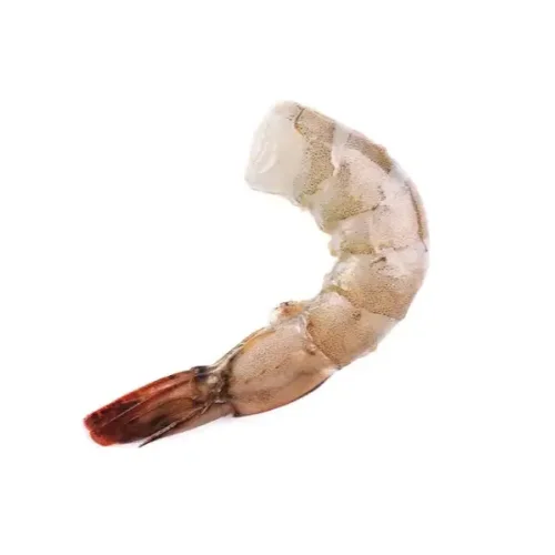 Shrimp (Litopenaeus Vannamei)