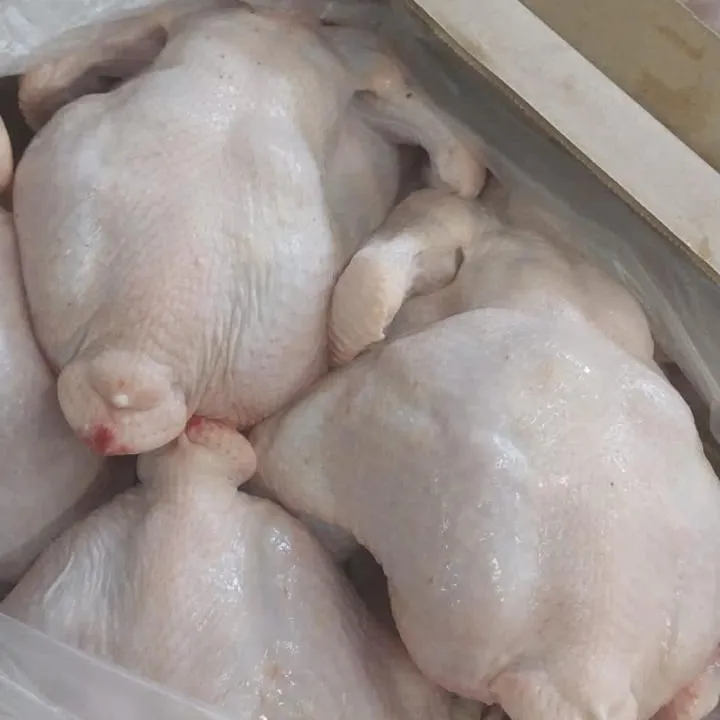 Broiler chicken carcass (chilled)
