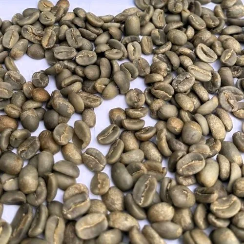 Coffee beans(green)