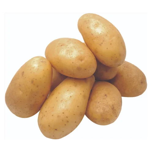 Potatoes harvest 2021