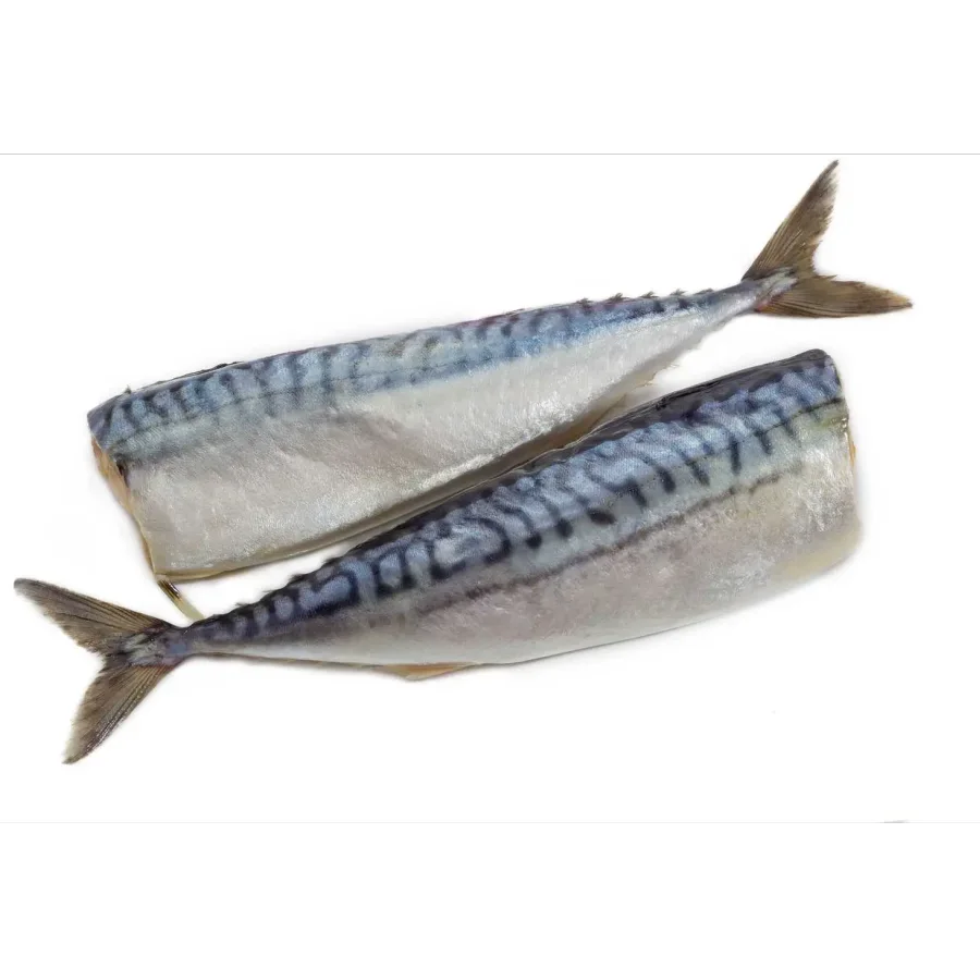 Fresh-frozen mackerel