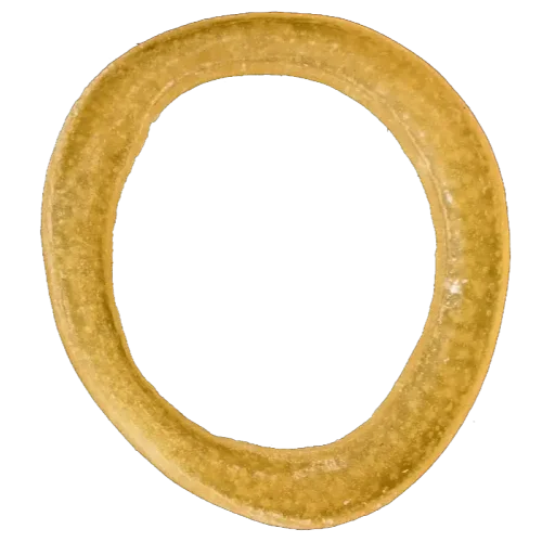 Кольцо луковое