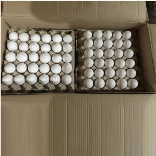 Chicken egg wholesale from the manufacturer