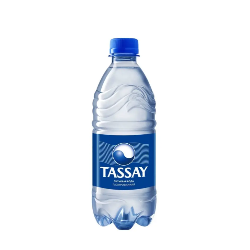 Природная минеральная вода TASSAY газированная 0,5 л