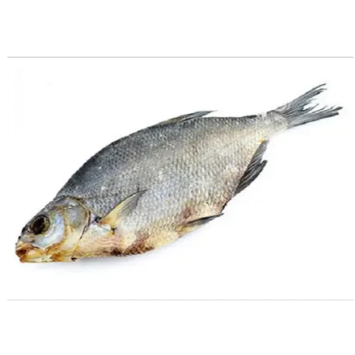 Bream dried large