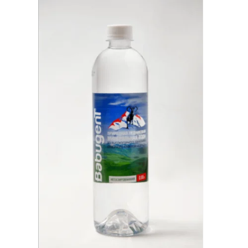 Natural Glacial Mineral Water «Babugent«