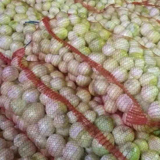 Peeled onion mesh