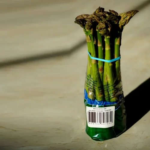 Fresh green asparagus