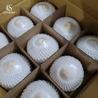 Fresh Coconuts from Vietnam