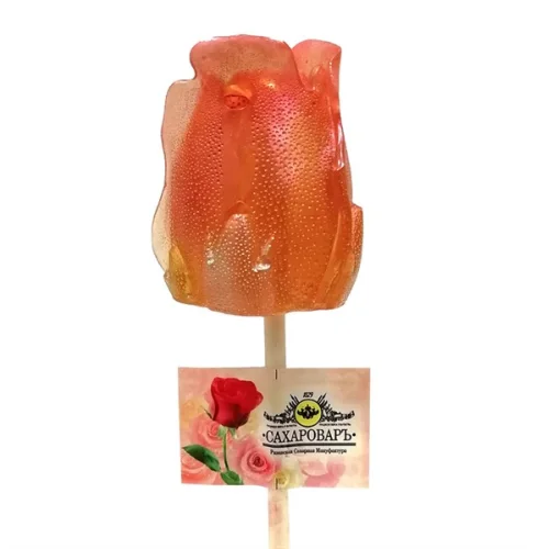 Lollipop Rose