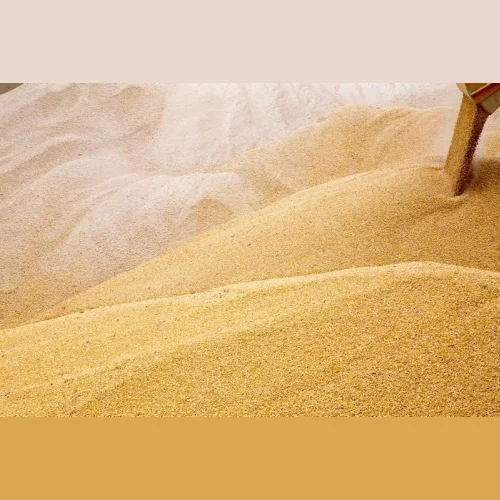 WHEAT FOR EXPORT