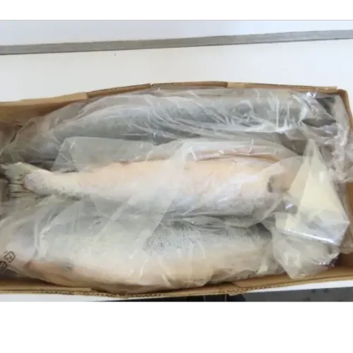 Salmon Atlantic (Salmon), Ind, Hon, 6-7kg