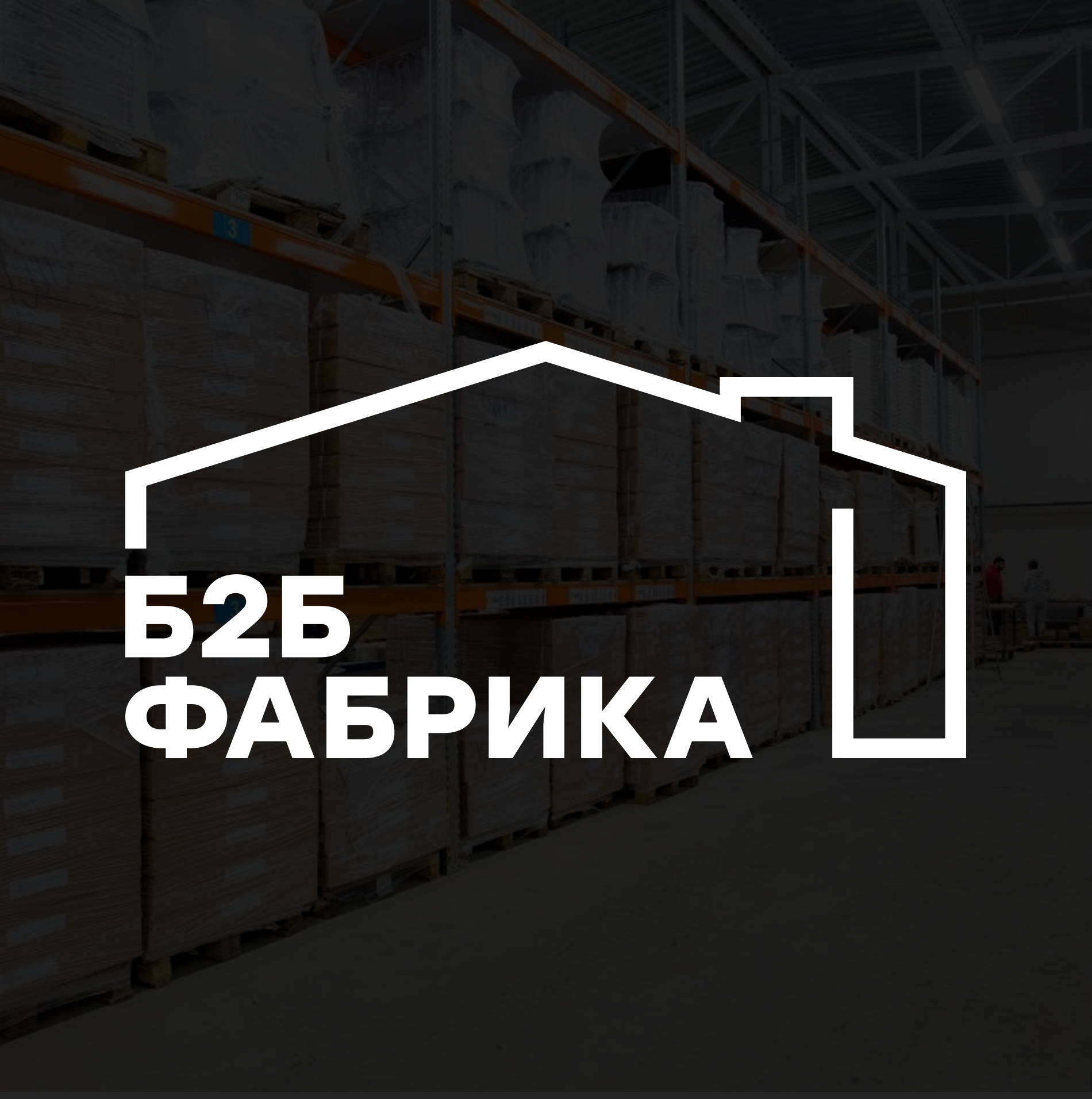 ИП Дахневич Станислав Витальевич