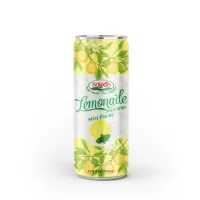 Lemonade Juice Drink with Mint Fruit Flavor 330ml Wholesalers OEM ODM Beverage