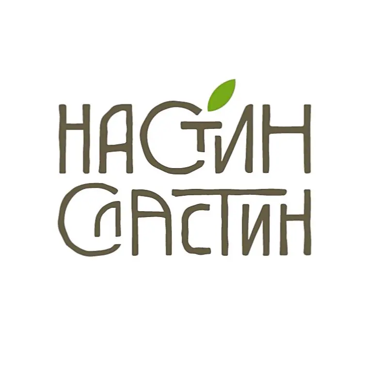 Настин Сластин