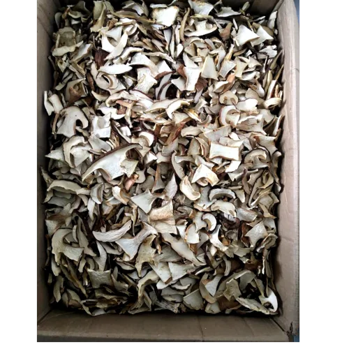Dried White Boroviki Mushrooms Siberian 1 kg