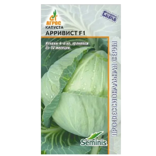 Cabbage used "Arriviste" F1