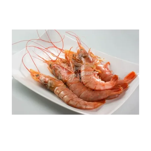 Argentine shrimp 20 - 31