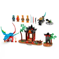 Конструктор LEGO Ninjago Драконий храм ниндзя 71759