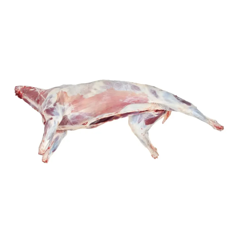 Lamb chilled carcass