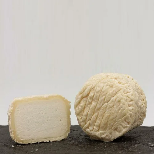 Croten cheese of goat milk with white mold