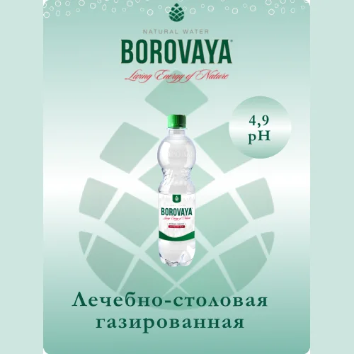 Вода минеральная БОРОВАЯ (Borovaya) лечебно-столовая питьевая сульфатно-кальциевая газированная 0.5л, ПЭТ