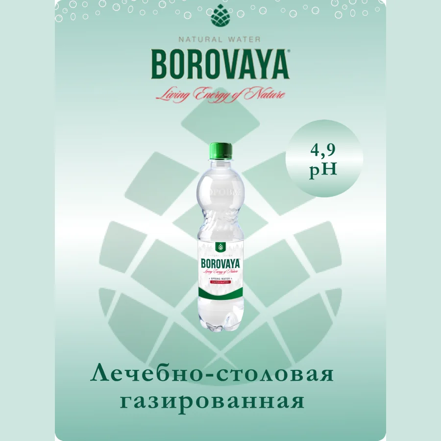 Вода минеральная БОРОВАЯ (Borovaya) лечебно-столовая питьевая сульфатно-кальциевая газированная 0.5л, ПЭТ