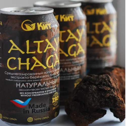 The medium-sized drink «Altaychaga« based on the extract of the birch mushroom chaga.