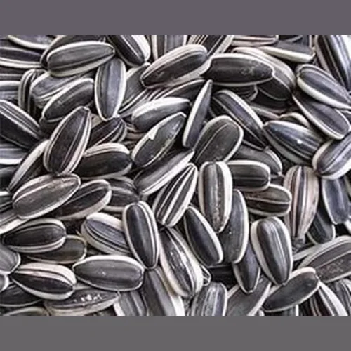 Seeds striped raw weight