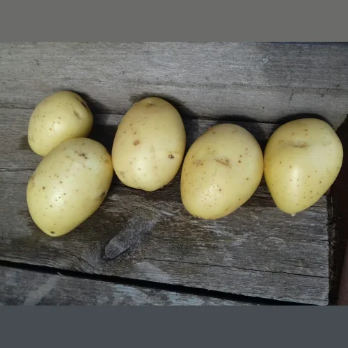 Food potatoes