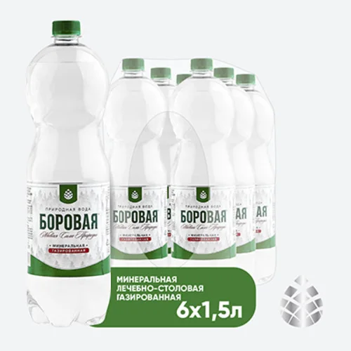 BOROVAYA drinking water, natural carbonated, PET, 1.5 l x 6 pcs.