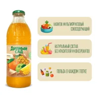 Multifruit juice "Marvelous Garden" 1.0l glass 6 pcs.