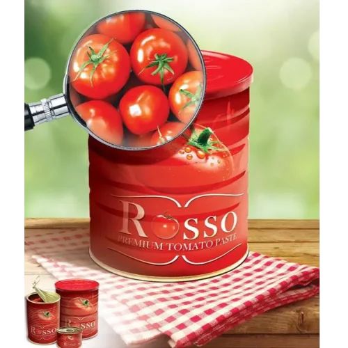 Tomato paste 28-30% Rosso R / b with key