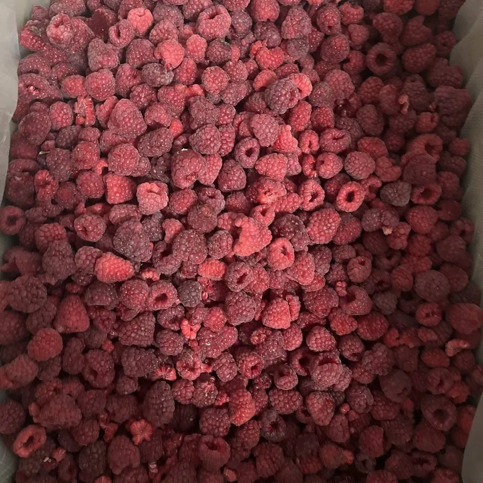 Whole frozen raspberries