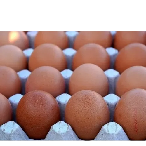 Chicken egg C1