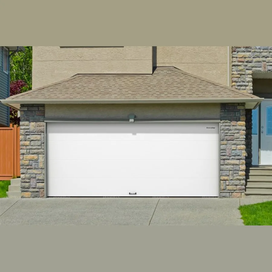 Doorhan RSD02 Garage Gate (5800x3100)