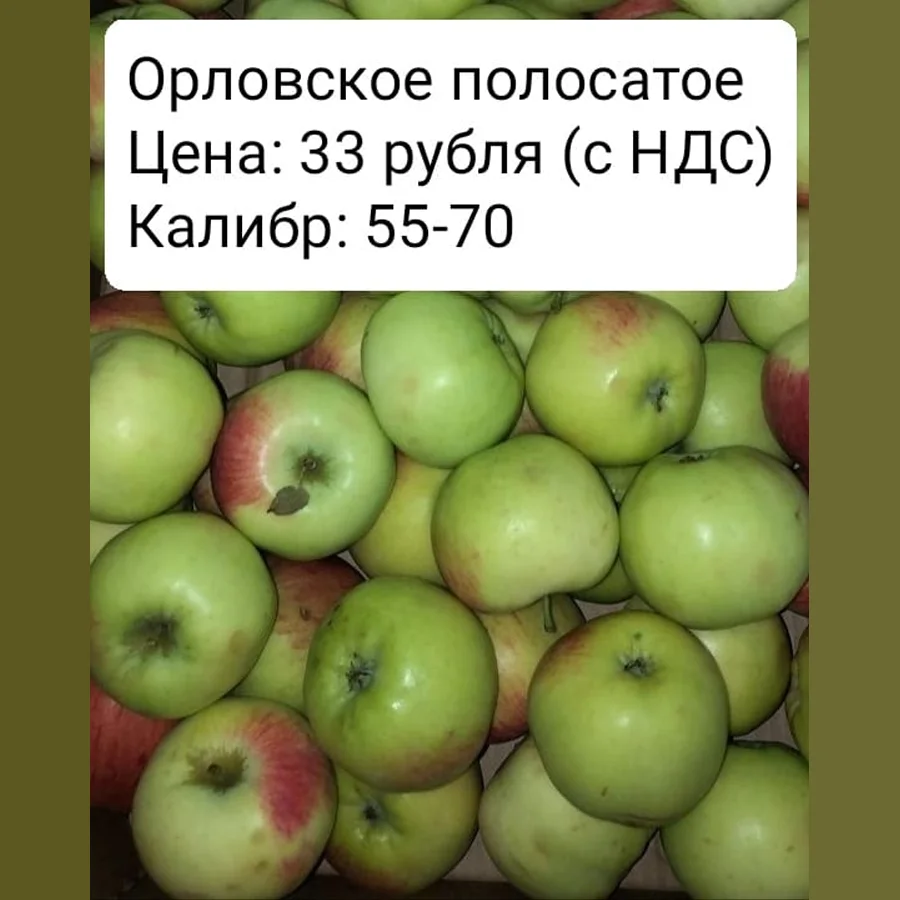 Яблоко Орловское полосатое