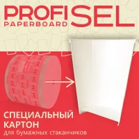 Laminated cardboard ProfiSel Paperboard, bleached, professional, 250 / 260 g/m2 (GSM)