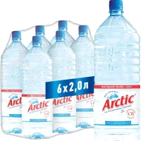 Arctic вода питьевая природная негазированная 2л 