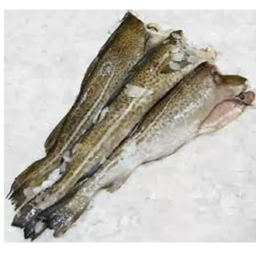 Cod without a head 