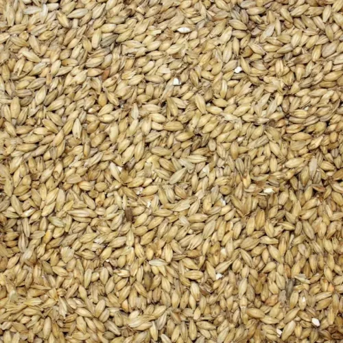 Barley furable