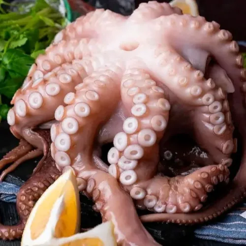 Octopus fresh-frozen