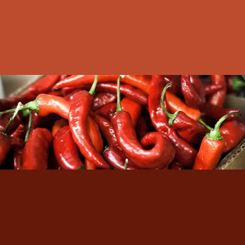 Red Pepper Chile