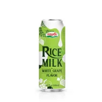 Horchata milk Rice milk drink Cinnamon flavor 500ml Wholesalers OEM ODM