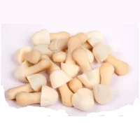 Mushroom mini cookies in white glaze