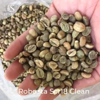 Green Robusta Coffee from Vietnam