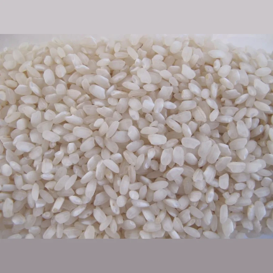 Rice round grain